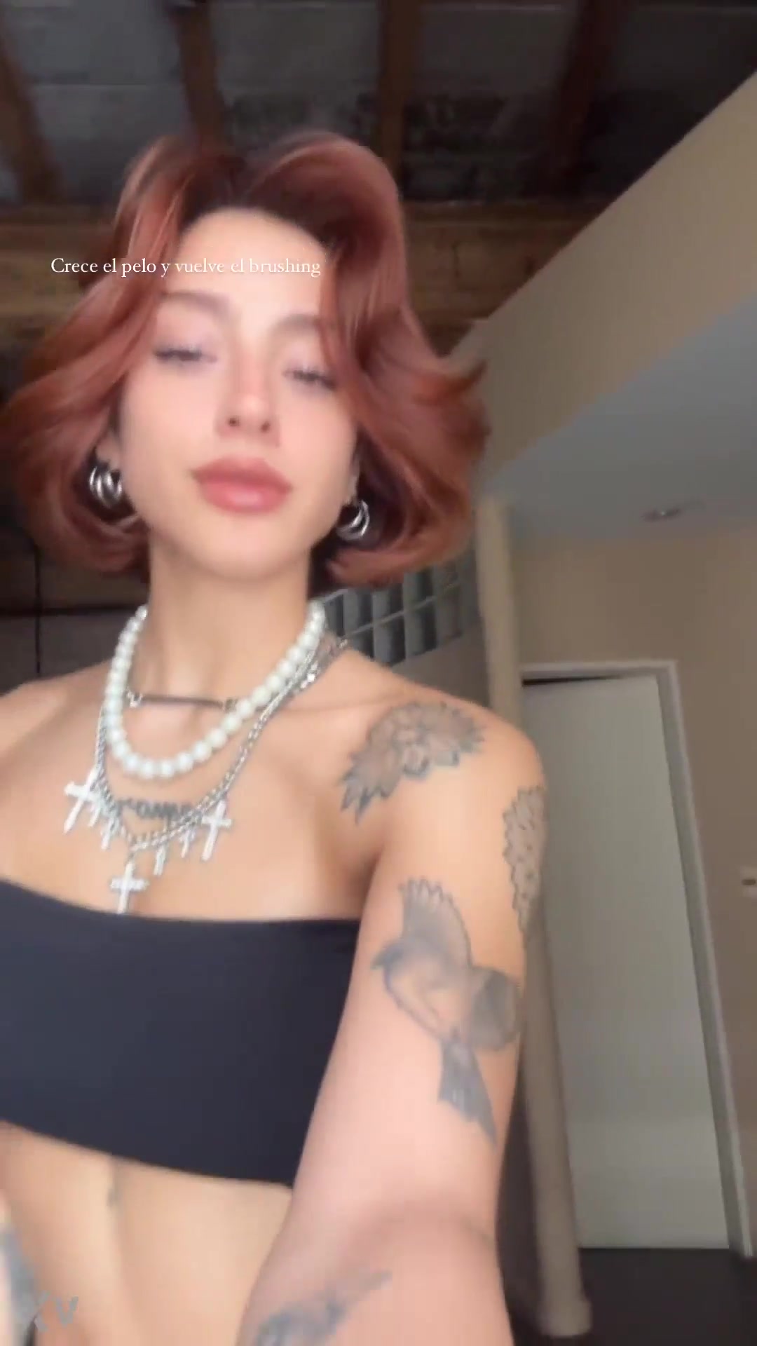 Chilean Belu Baby's Wild Ride