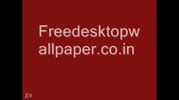 Sizzling Bikini Babes Await!