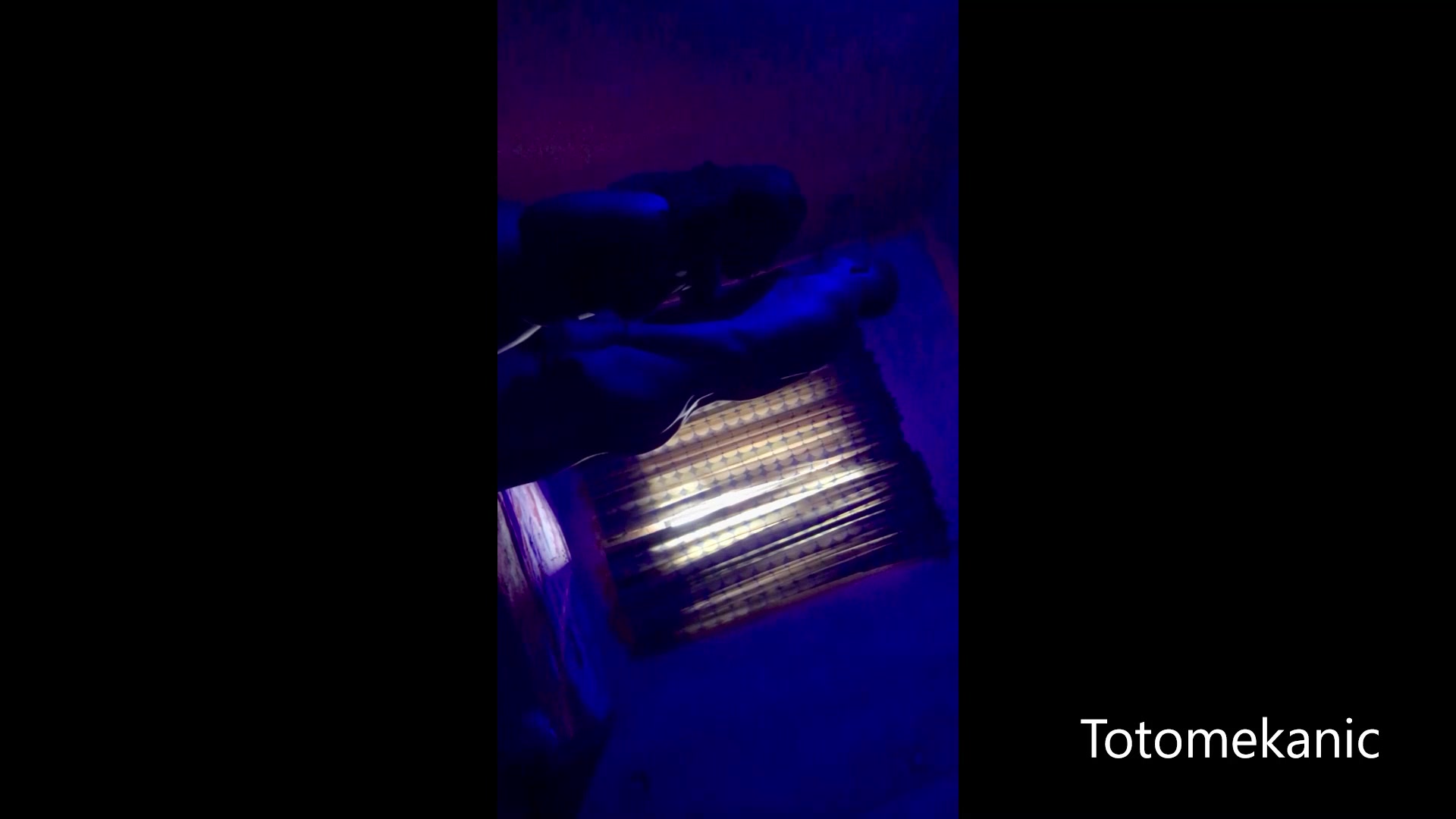 Shocking Senator Sextape Exposed!